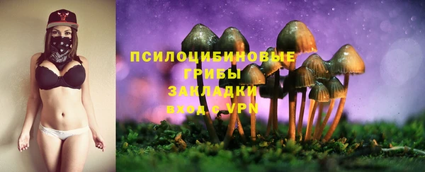 МДМА Богородск