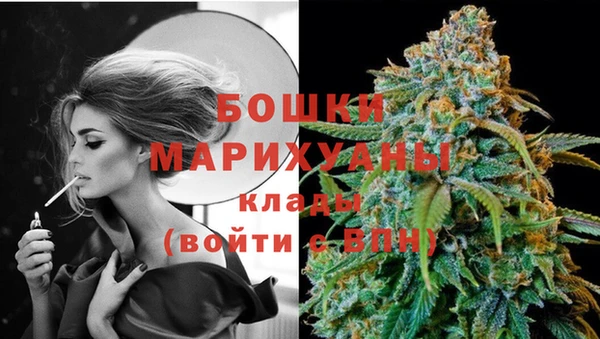 гашик Богданович