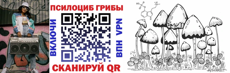 KRAKEN рабочий сайт  Гатчина  Галлюциногенные грибы MAGIC MUSHROOMS 